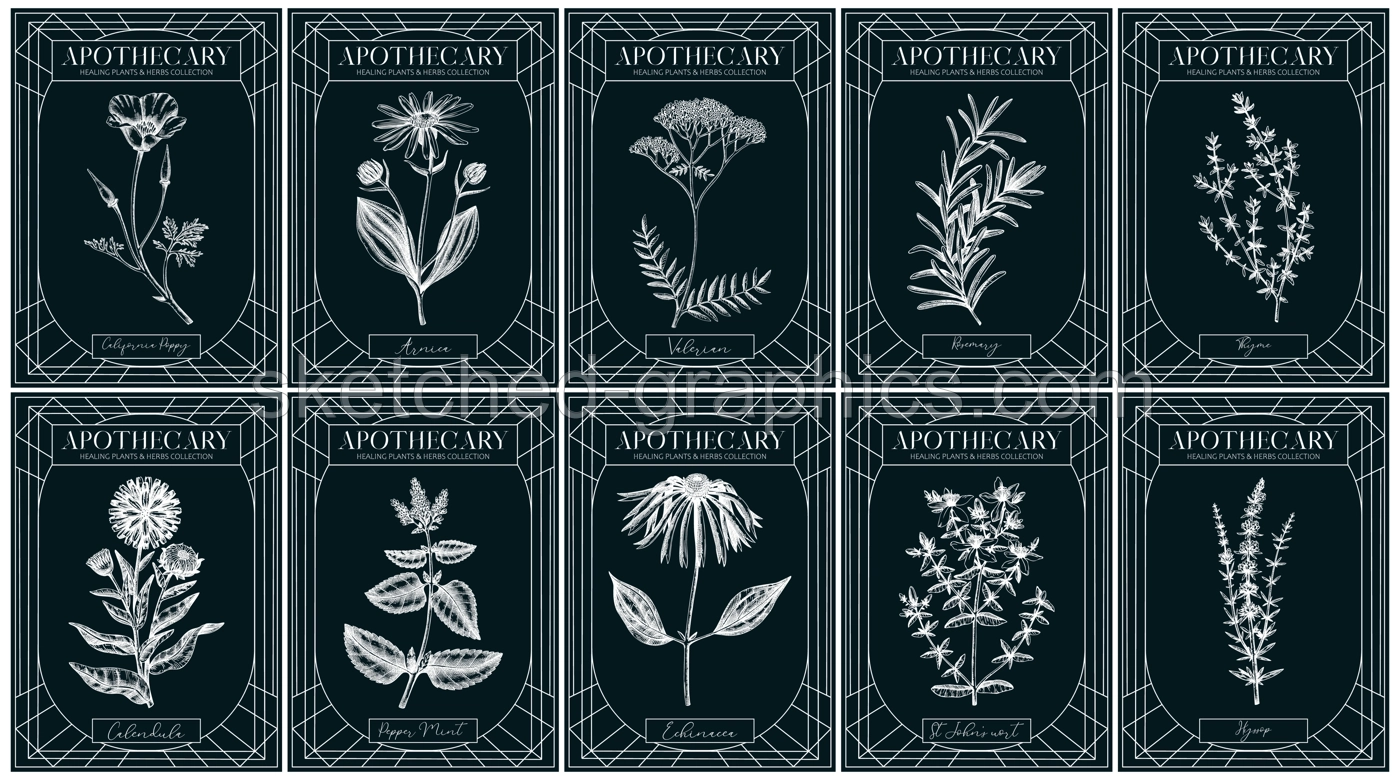 Apothecary labels set. Healing plants and medicinal herbs sketches on chalkboard. Art nouveua, adt deco, retro style. Vintage frame design templates. NOT AI generated Illustration